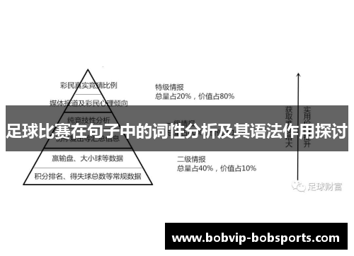 足球比赛在句子中的词性分析及其语法作用探讨